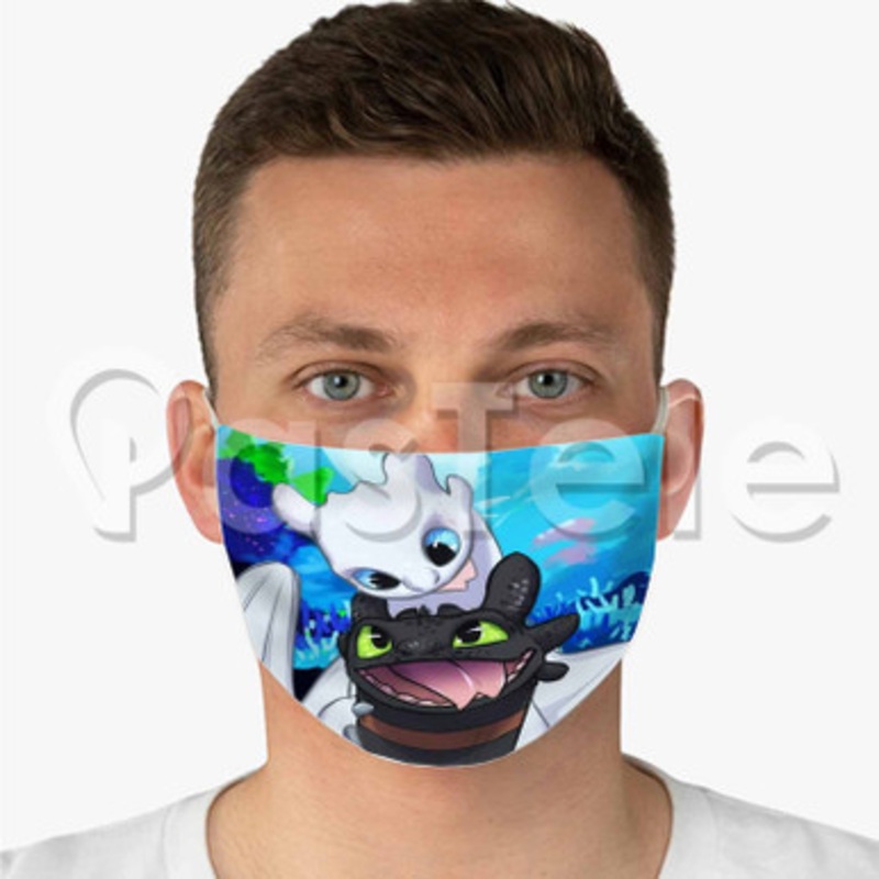Toothless and Lightfury Custom Personalized Fabric Face Mask Polyester Two Layers Cloth