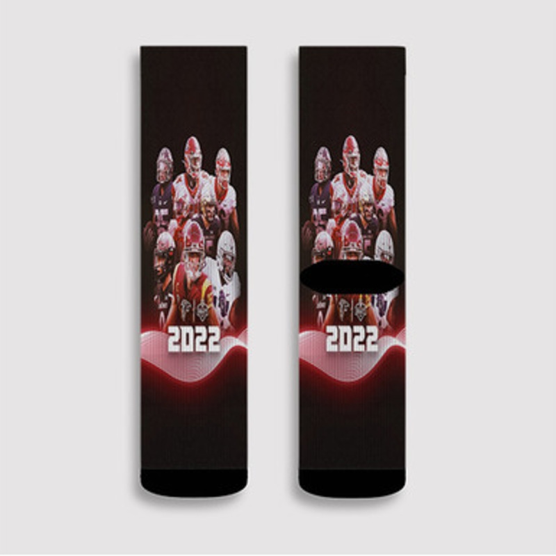 Pastele Atlanta Falcons NFL 2022 Squad Custom Socks Sublimation Awesome Printed Sports Elite Socks Polyester Cushioned Bottoms Gym Gymnastic Running Yoga School Skatebording Basketball Spandex